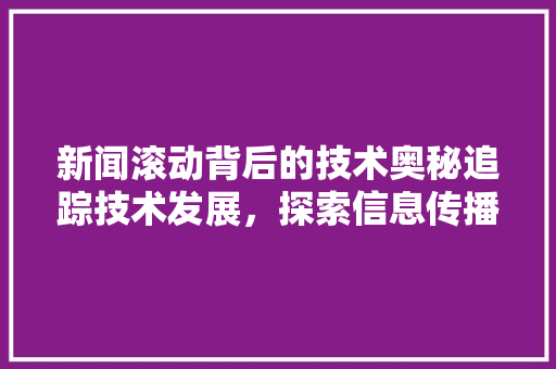 新闻滚动背后的技术奥秘追踪技术发展，探索信息传播新趋势