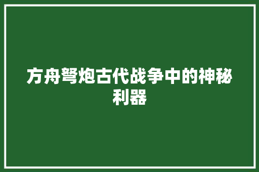 方舟弩炮古代战争中的神秘利器