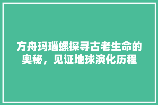 方舟玛瑙螺探寻古老生命的奥秘，见证地球演化历程