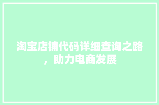 淘宝店铺代码详细查询之路，助力电商发展