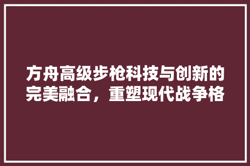 方舟高级步枪科技与创新的完美融合，重塑现代战争格局