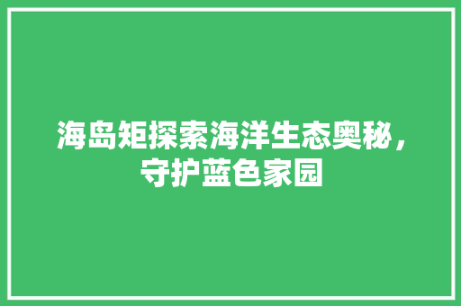 海岛矩探索海洋生态奥秘，守护蓝色家园