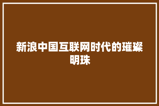 新浪中国互联网时代的璀璨明珠