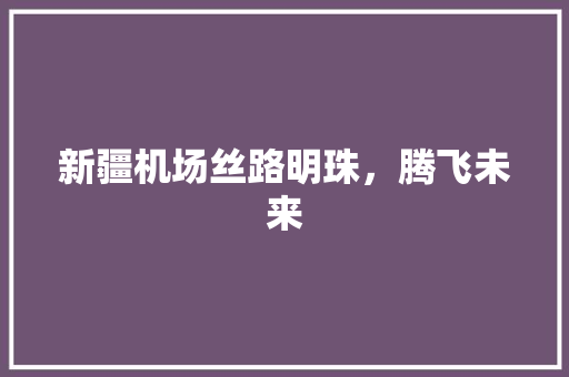 新疆机场丝路明珠，腾飞未来