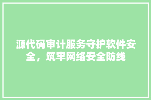 源代码审计服务守护软件安全，筑牢网络安全防线