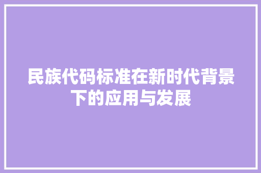 民族代码标准在新时代背景下的应用与发展
