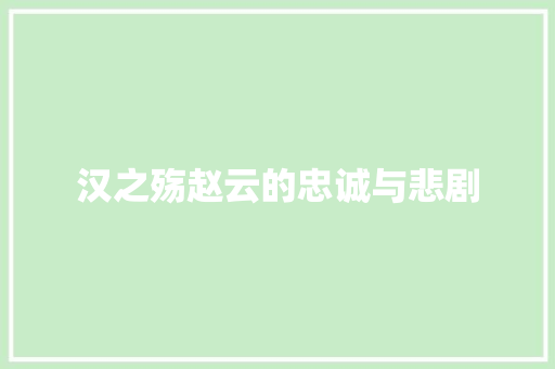 汉之殇赵云的忠诚与悲剧