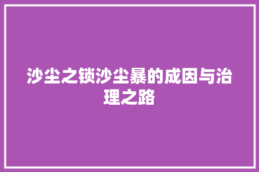 沙尘之锁沙尘暴的成因与治理之路