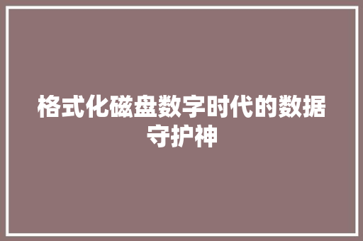 格式化磁盘数字时代的数据守护神