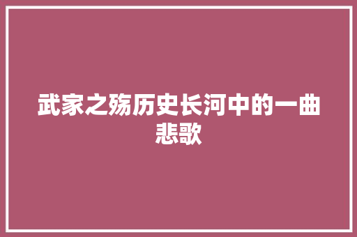 武家之殇历史长河中的一曲悲歌