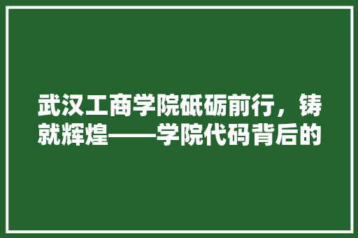 武汉工商学院砥砺前行，铸就辉煌——学院代码背后的故事