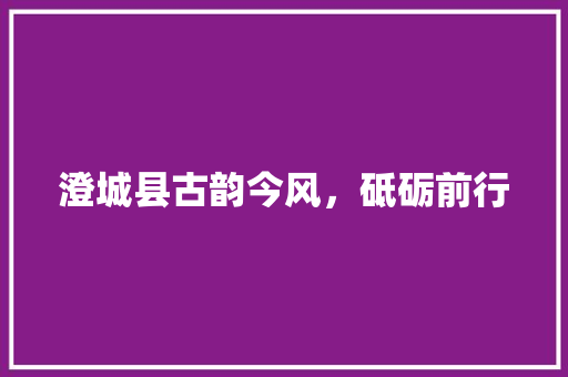 澄城县古韵今风，砥砺前行