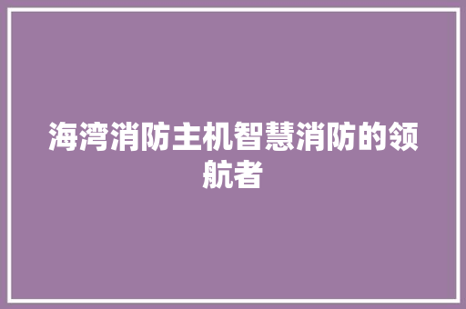 海湾消防主机智慧消防的领航者