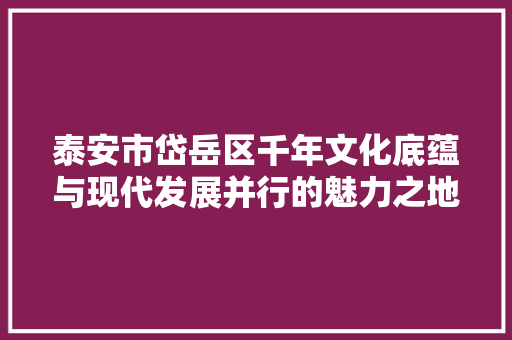 泰安市岱岳区千年文化底蕴与现代发展并行的魅力之地