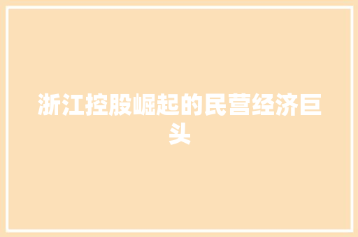 浙江控股崛起的民营经济巨头