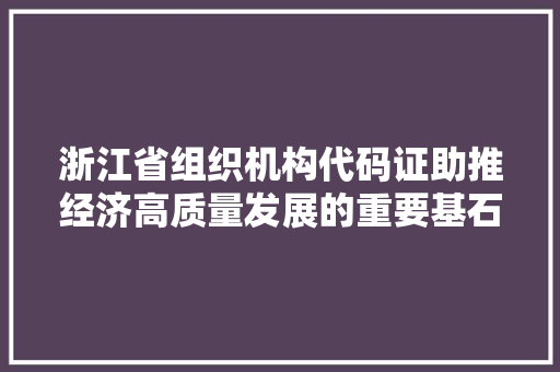 浙江省组织机构代码证助推经济高质量发展的重要基石
