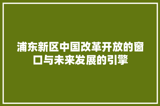 浦东新区中国改革开放的窗口与未来发展的引擎