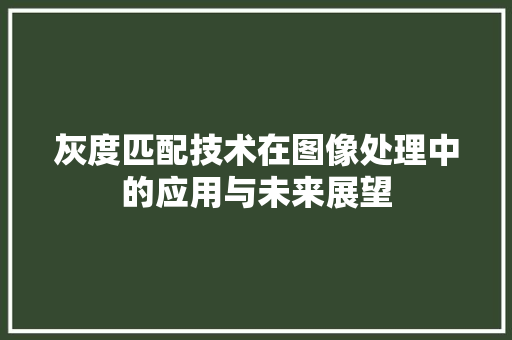 灰度匹配技术在图像处理中的应用与未来展望