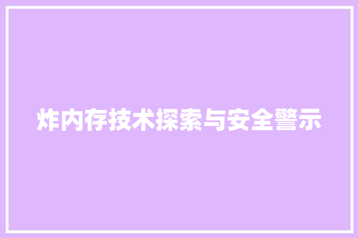 炸内存技术探索与安全警示