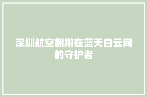 深圳航空翱翔在蓝天白云间的守护者