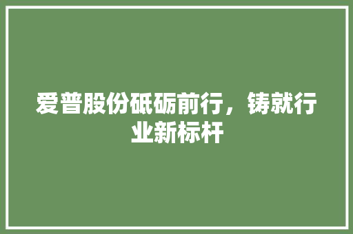 爱普股份砥砺前行，铸就行业新标杆