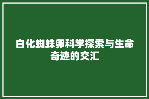 白化蜘蛛卵科学探索与生命奇迹的交汇