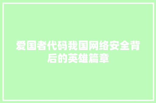 爱国者代码我国网络安全背后的英雄篇章