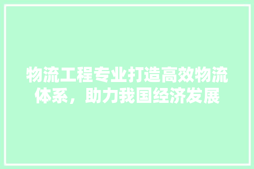 物流工程专业打造高效物流体系，助力我国经济发展