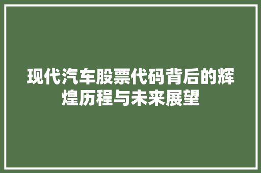 现代汽车股票代码背后的辉煌历程与未来展望