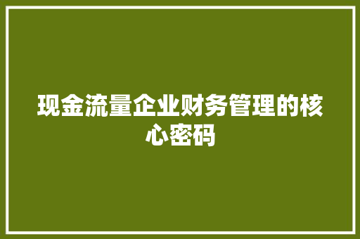 现金流量企业财务管理的核心密码