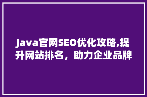 Java官网SEO优化攻略,提升网站排名，助力企业品牌传播