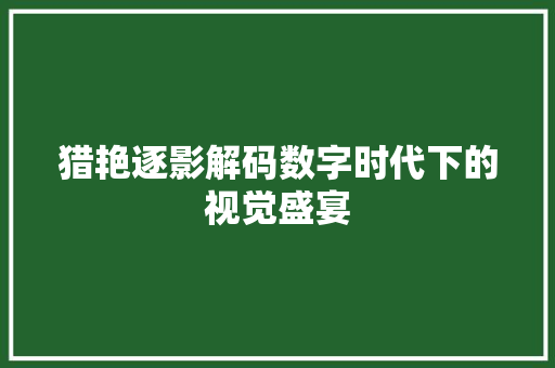 猎艳逐影解码数字时代下的视觉盛宴