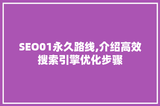 SEO01永久路线,介绍高效搜索引擎优化步骤