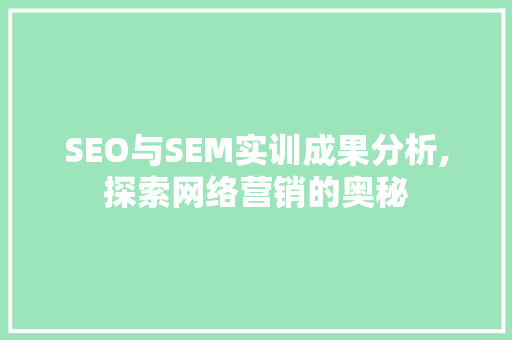 SEO与SEM实训成果分析,探索网络营销的奥秘