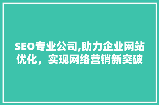 SEO专业公司,助力企业网站优化，实现网络营销新突破