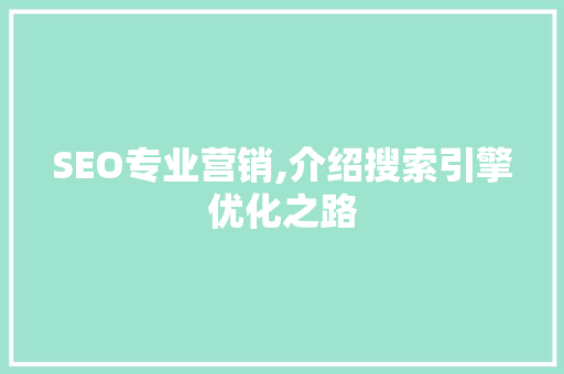 SEO专业营销,介绍搜索引擎优化之路
