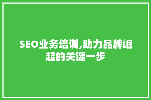 SEO业务培训,助力品牌崛起的关键一步