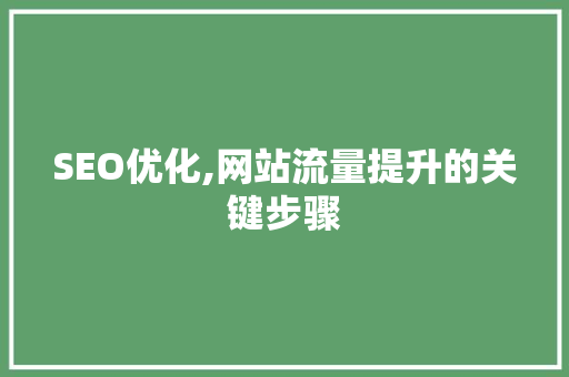 SEO优化,网站流量提升的关键步骤