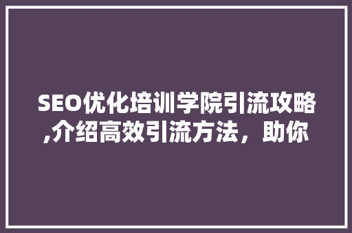 SEO优化培训学院引流攻略,介绍高效引流方法，助你打造爆款课程