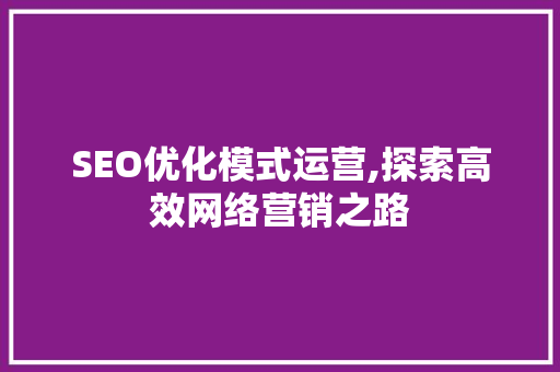 SEO优化模式运营,探索高效网络营销之路