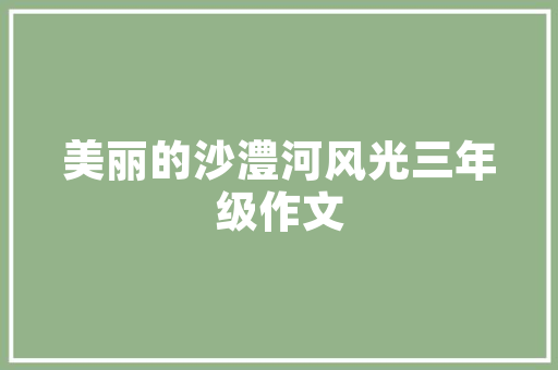 SEO优化质量服务,助力企业提升网络竞争力
