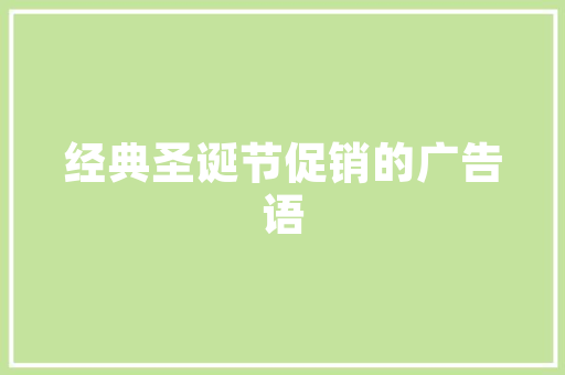 SEO优化软件外包,助力企业高效提升网站排名与流量