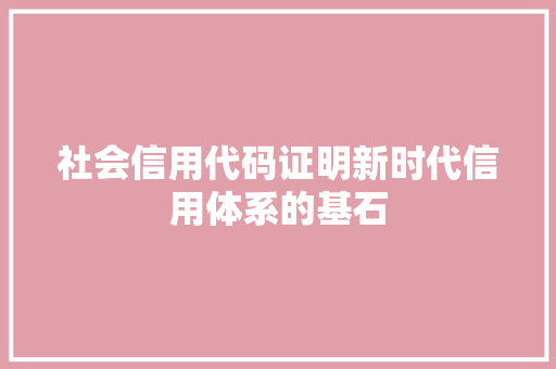社会信用代码证明新时代信用体系的基石