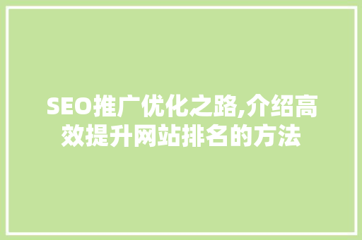 SEO推广优化之路,介绍高效提升网站排名的方法