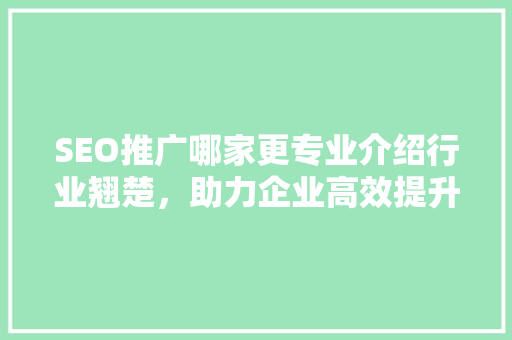 SEO推广哪家更专业介绍行业翘楚，助力企业高效提升排名