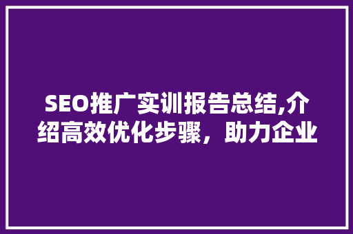 SEO推广实训报告总结,介绍高效优化步骤，助力企业腾飞