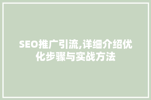 SEO推广引流,详细介绍优化步骤与实战方法