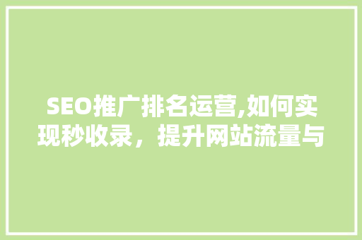 SEO推广排名运营,如何实现秒收录，提升网站流量与知名度