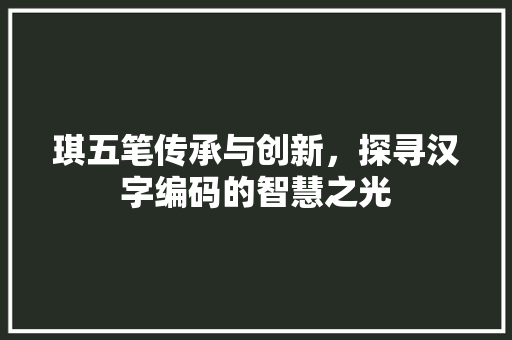 琪五笔传承与创新，探寻汉字编码的智慧之光