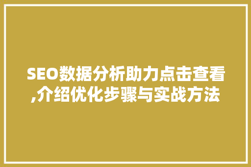 SEO数据分析助力点击查看,介绍优化步骤与实战方法